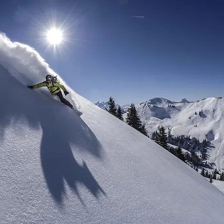 Huus Gstaad 4* Saanen