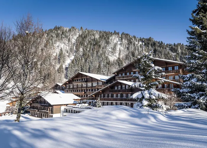 Huus Gstaad Otel 4*