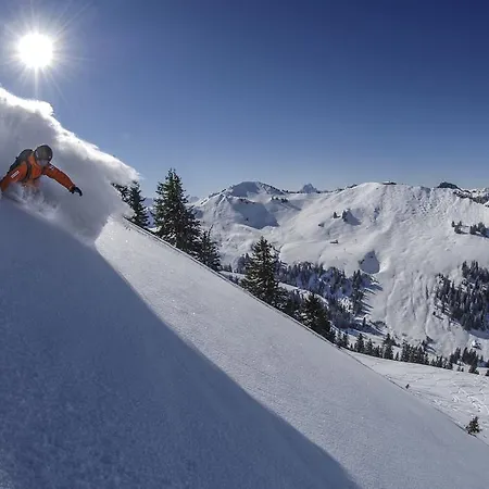 Huus Gstaad Hotell 4*