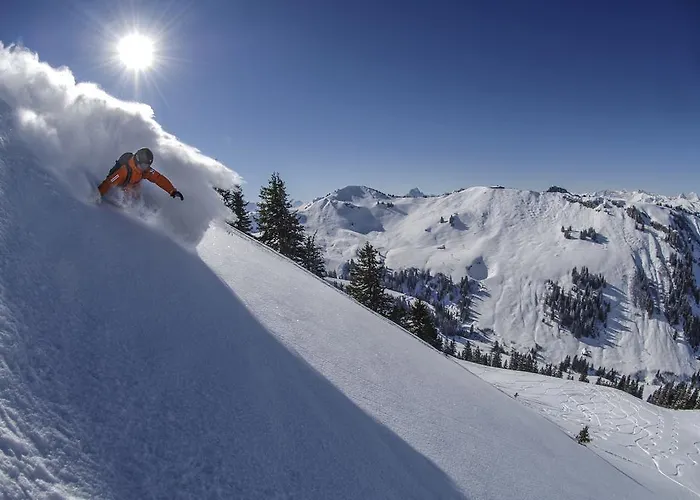 Huus Gstaad Hotel 4*